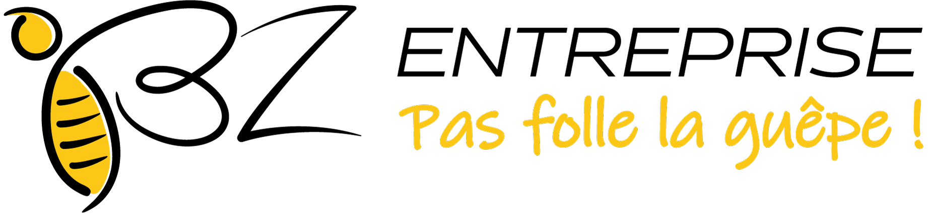 Logo BZ Entreprise